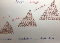 �������� �����